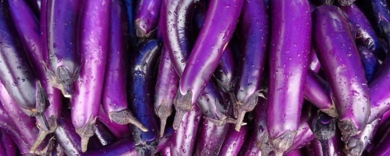 隔水蒸茄子要多久才熟 茄子隔水蒸几分钟能熟