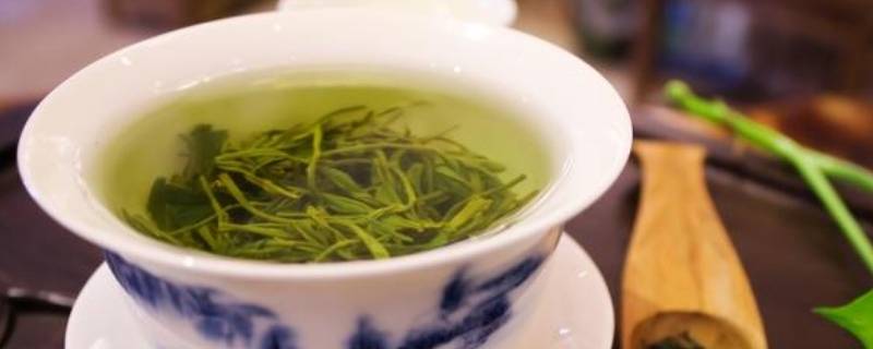 立夏茶是什么茶（立夏茶的功效）