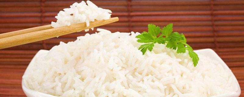 蒸米饭的比例是多少（蒸米饭米和饭的比例）