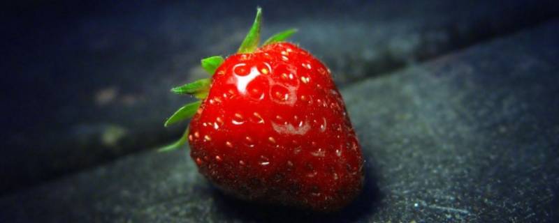 草莓的生长习性 草莓生长发育特性