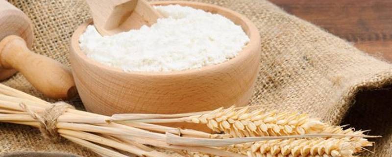 家用小麦粉是低筋还是高筋（家庭通用小麦粉是低筋还是高筋）