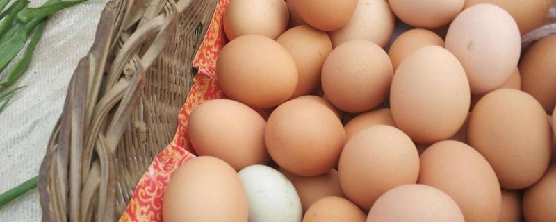 怎么保护鸡蛋不会碎 怎样保护鸡蛋不会碎