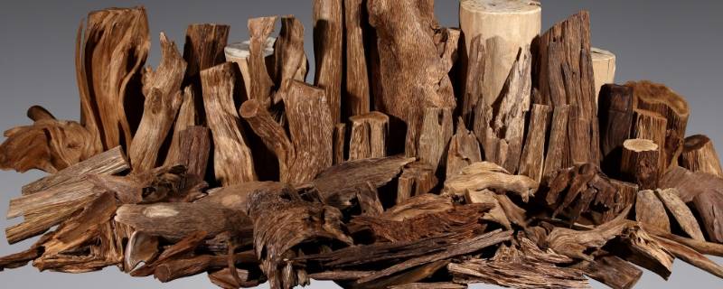 沉香是什么木材形成的 沉香是木材吗