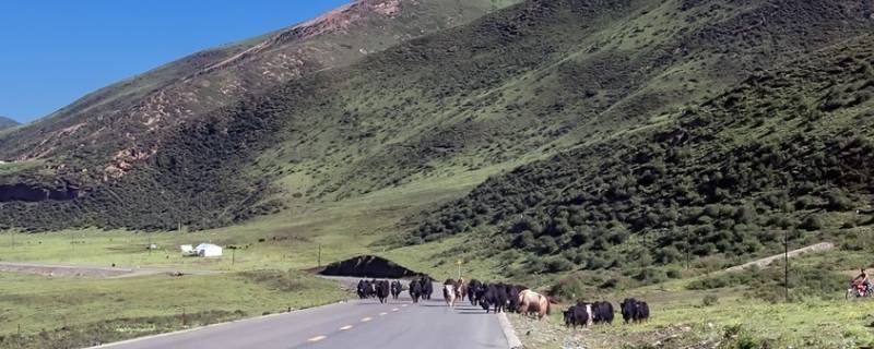 班玛县景点 班玛县旅游