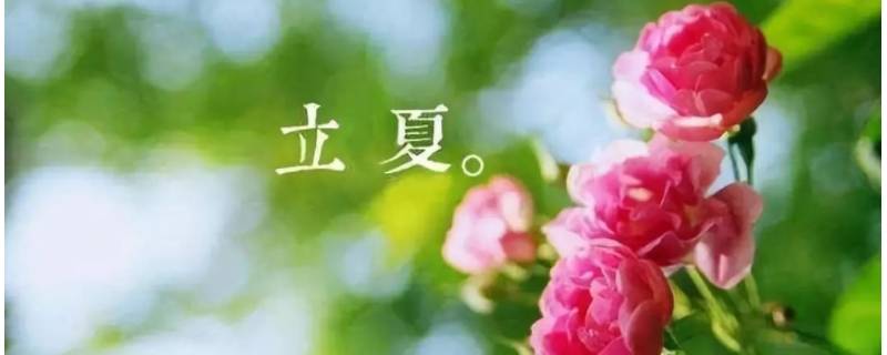 立夏又名什么（立夏别名是什么）