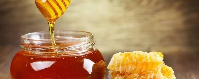 蜂蜜和蜂王浆有什么区别 蜂蜜和蜂王浆有什么区别小朋友适合喝什么