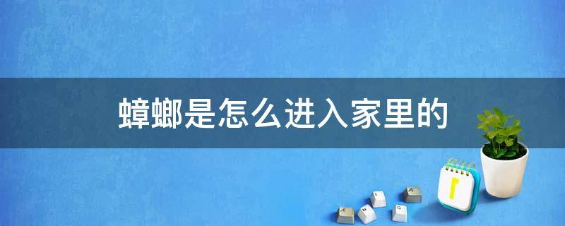 蟑螂是怎么进入家里的 高楼蟑螂是怎么进入家里的