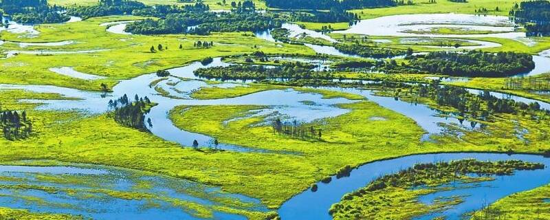 湿地对地球有什么作用 湿地对地球的重要性