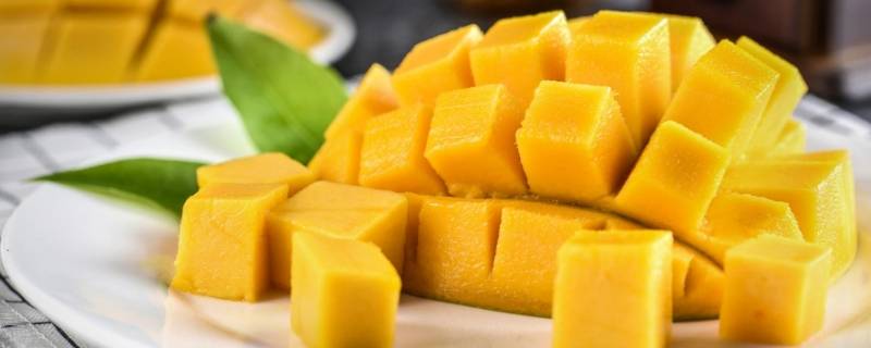 芒果可以和什么水果一起榨果汁 芒果可以和什么水果一起榨果汁喝