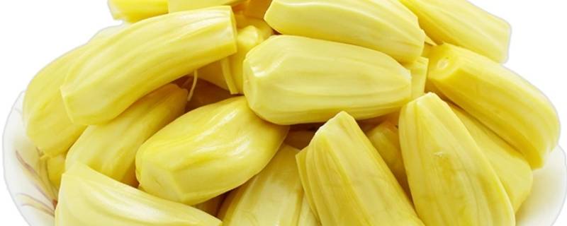 菠萝蜜怎么挑选果肉大（如何挑选菠萝蜜果肉大）