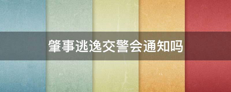 肇事逃逸交警会通知吗（肇事逃逸交警多久通知肇事者）