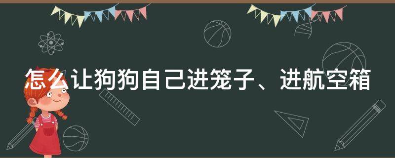 怎么让狗狗自己进笼子、进航空箱（怎么让狗狗自己进入航空箱）