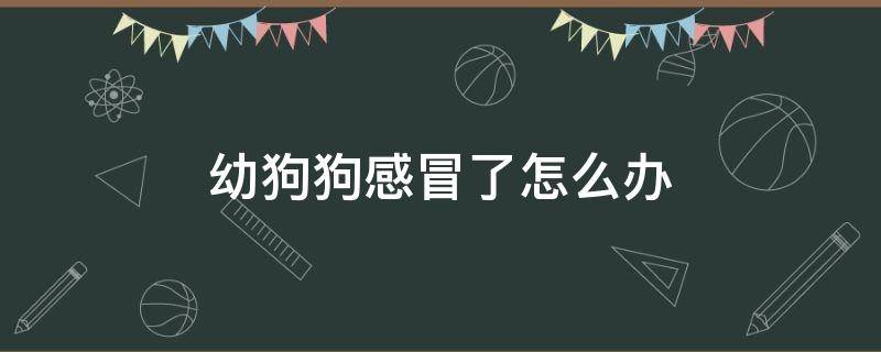 幼狗狗感冒了怎么办 狗狗幼犬感冒了怎么办