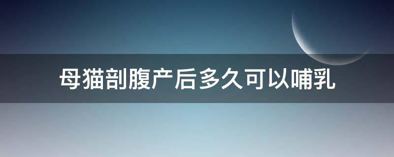 母猫剖腹产后多久可以哺乳 猫剖腹产后有奶吗