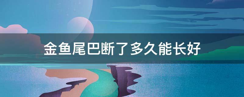 金鱼尾巴断了多久能长好 金鱼尾巴断掉能长出来么