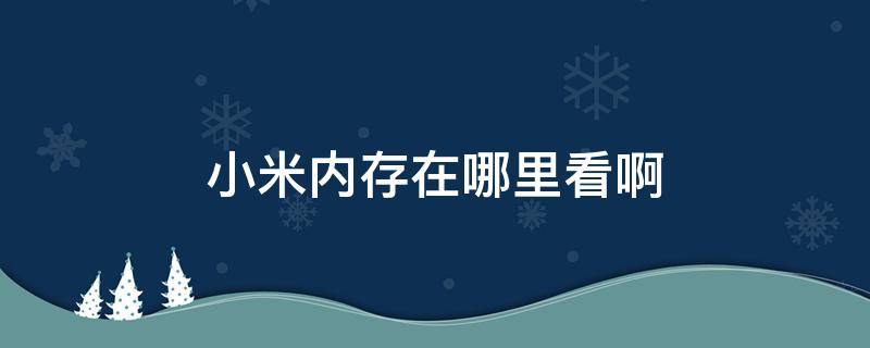 小米内存在哪里看啊（小米手机内存在哪里看）