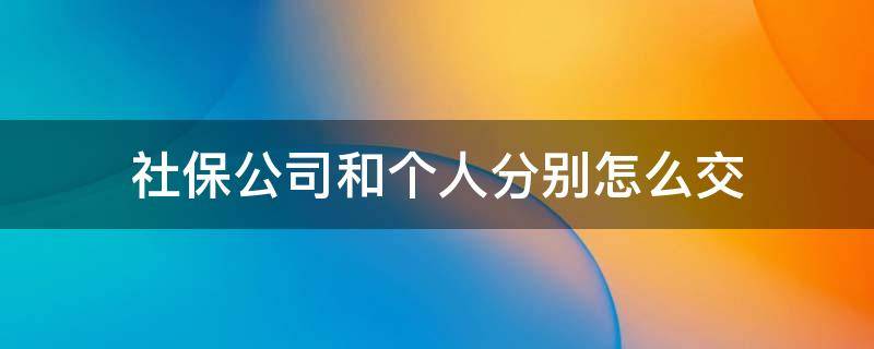 社保公司和个人分别怎么交（自己怎么交社保和公司交社保的区别）