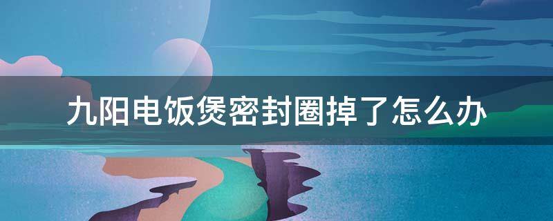 九阳电饭煲密封圈掉了怎么办（九阳电饭煲密封圈更换）