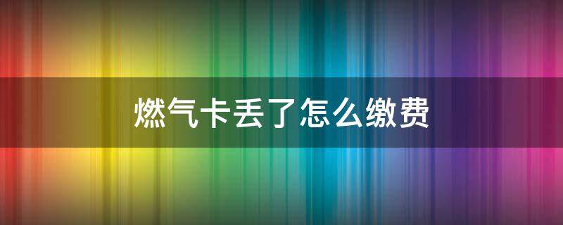 燃气卡丢了怎么缴费（煤气缴费卡丢了怎么办）