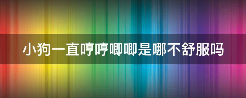 小狗一直哼哼唧唧是哪不舒服吗 狗狗躁动不安一直哼唧