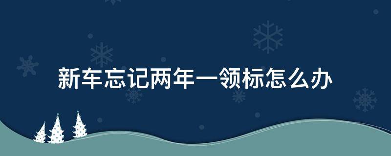 新车忘记两年一领标怎么办 新车每两年怎么领标