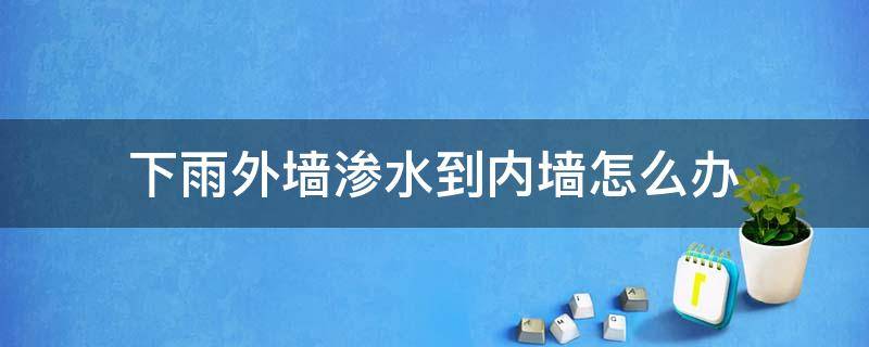 下雨外墙渗水到内墙怎么办 下雨天外墙渗水到内墙怎么办