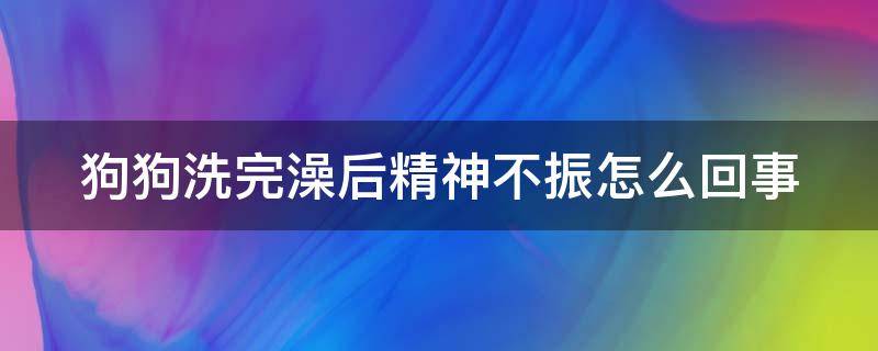 狗狗洗完澡后精神不振怎么回事（狗狗洗完澡后精神不振怎么回事儿）