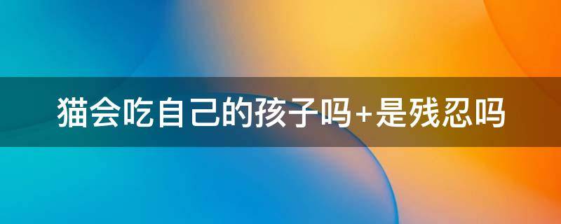 猫会吃自己的孩子吗 幼猫在家里凭空消失了