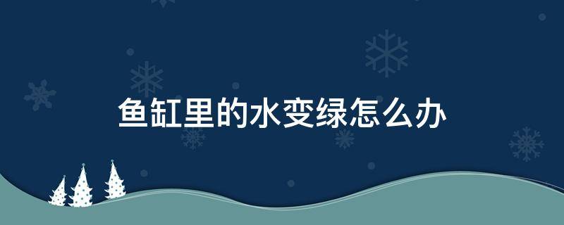 鱼缸里的水变绿怎么办 鱼缸里的水变绿怎么解决