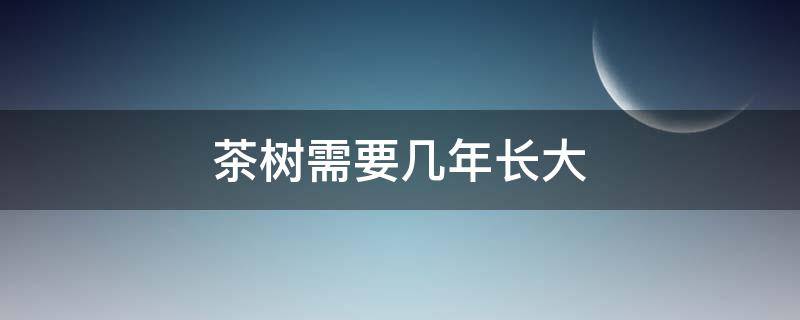 茶树需要几年长大（一个茶树最长可以生长多少年）