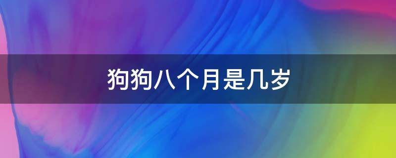 狗狗八个月是几岁（狗狗八个月是几岁智力）