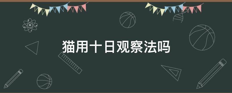 猫用十日观察法吗 猫咪10日观察法真的有用吗