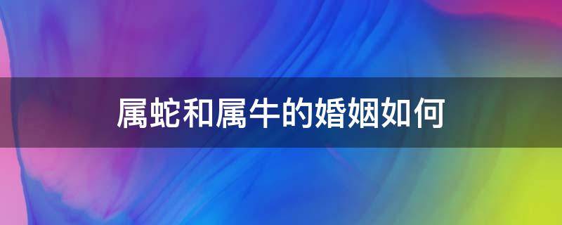 属蛇和属牛的婚姻如何（属蛇跟属牛的婚姻状况）