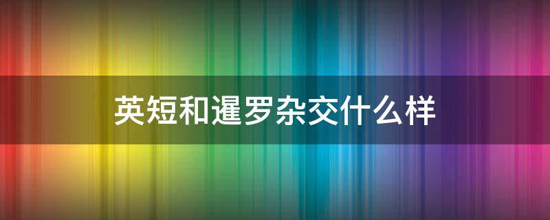 英短和暹罗杂交什么样 英短和暹罗交配