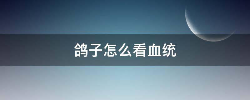 鸽子怎么看血统 鸽子怎样看血统