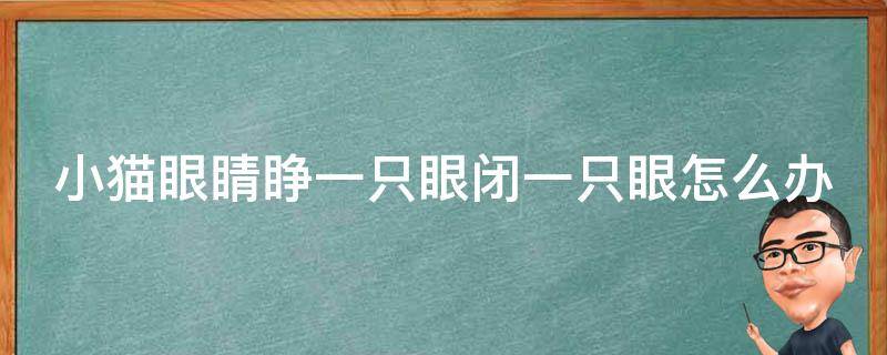 小猫眼睛睁一只眼闭一只眼怎么办（小猫眼睛睁了一只）