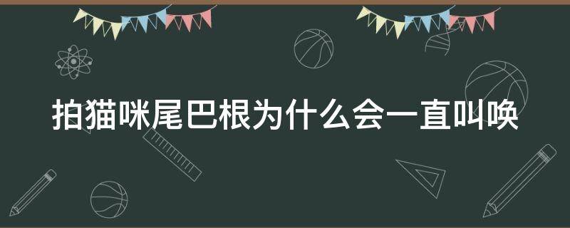 拍猫咪尾巴根为什么会一直叫唤（叫猫咪名字它会拍打尾巴）