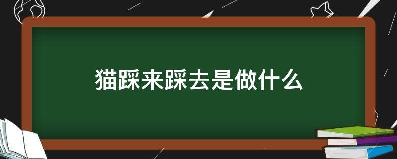 猫踩来踩去是做什么 猫咪踩来踩去