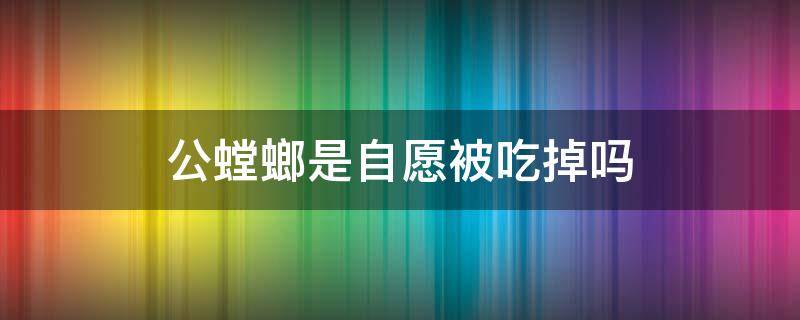 公螳螂是自愿被吃掉吗（我要的是公螳螂被吃掉的心甘情愿）