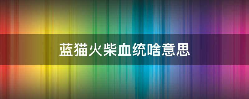 蓝猫火柴血统啥意思 火柴血蓝猫是什么意思