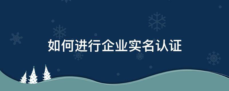 如何进行企业实名认证 企业怎么进行实名认证