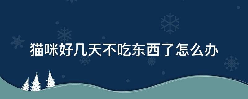 猫咪好几天不吃东西了怎么办（猫咪好几天都不吃东西怎么办）