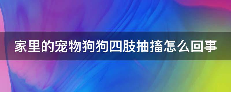 家里的宠物狗狗四肢抽搐怎么回事（狗狗身上抽搐）