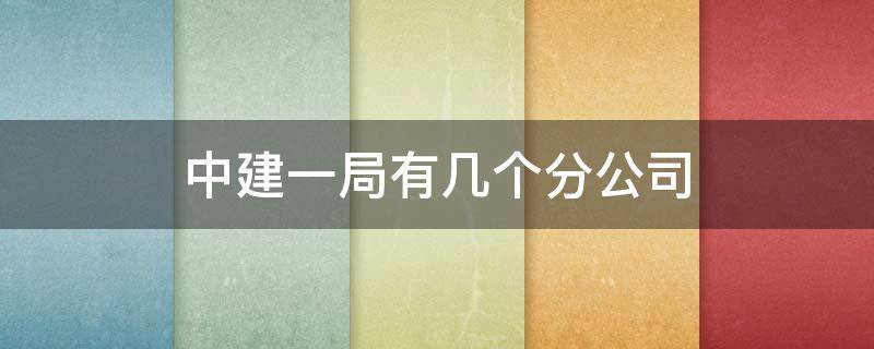 中建一局有几个分公司 中建一局有几个分公司那里人最多