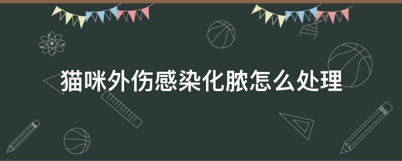 猫咪外伤感染化脓怎么处理（猫咪伤口发炎流脓怎么办）