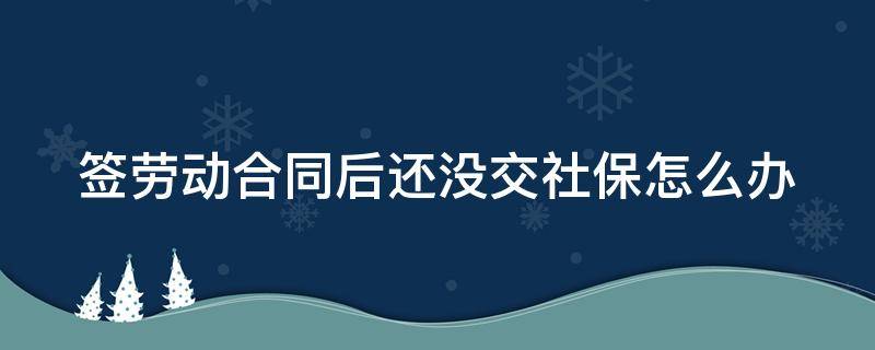 签劳动合同后还没交社保怎么办 签订劳动合同后没有缴纳社保