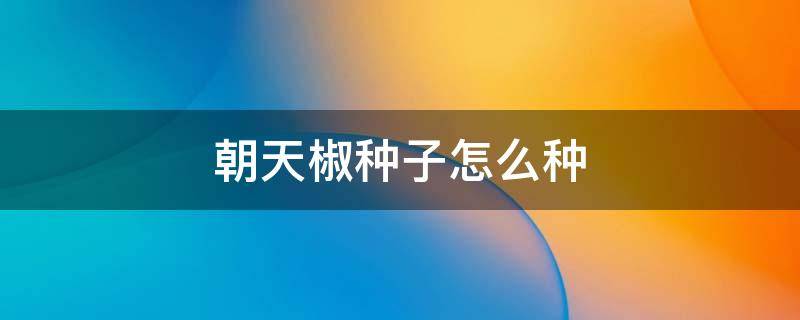 朝天椒种子怎么种 朝天椒种子怎么种植方法