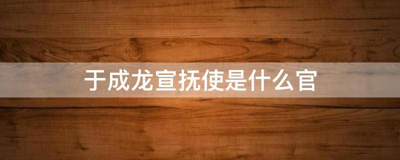 于成龙宣抚使是什么官 于成龙宣抚使是什么官职