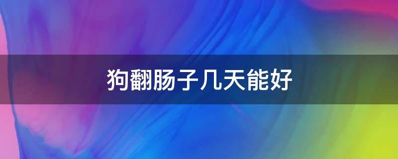 狗翻肠子几天能好 狗狗多少天翻肠子