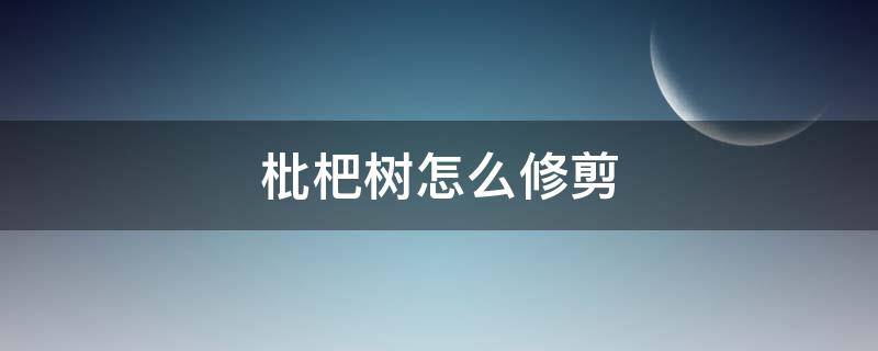 枇杷树怎么修剪 枇杷树怎么修剪枝条